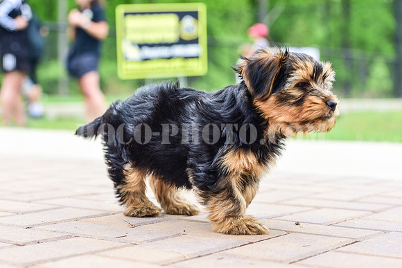 20150508-DSC_1011