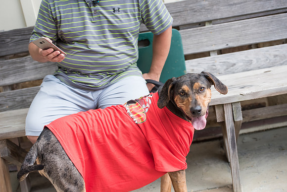 DSC_5299