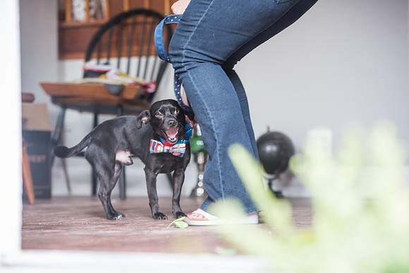 DSC_3898